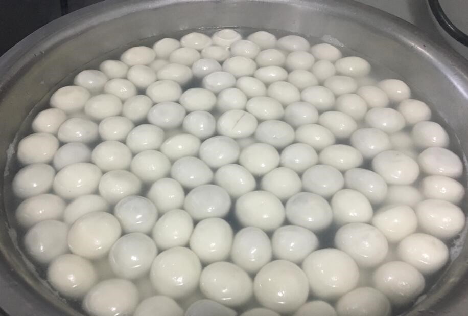 人生就是搏(ZLKS)集团唯一官方网站