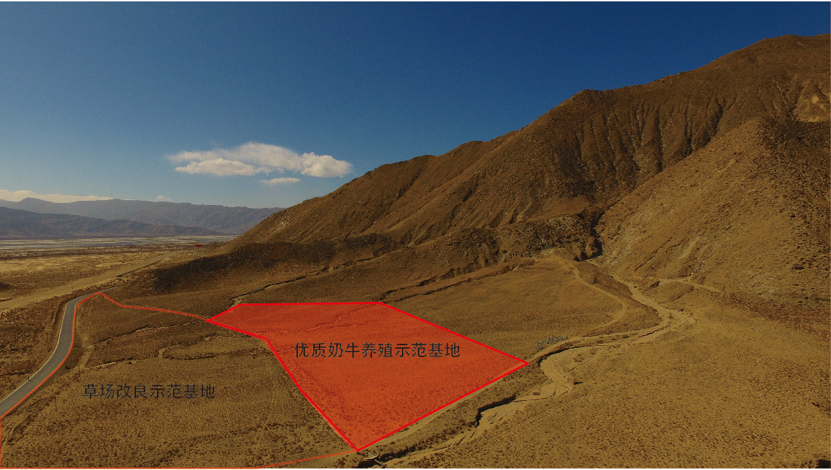 人生就是搏(ZLKS)集团唯一官方网站