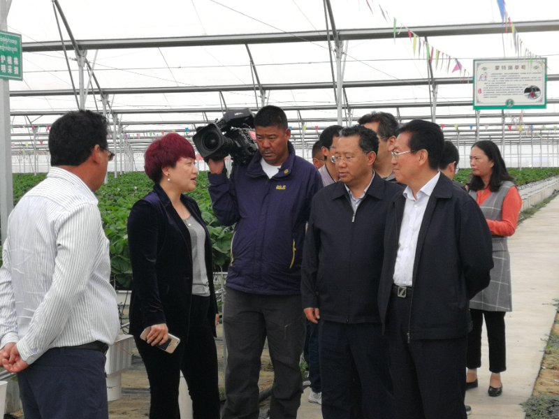 人生就是搏(ZLKS)集团唯一官方网站
