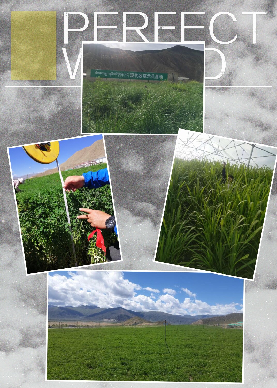 5c4845c53bc29