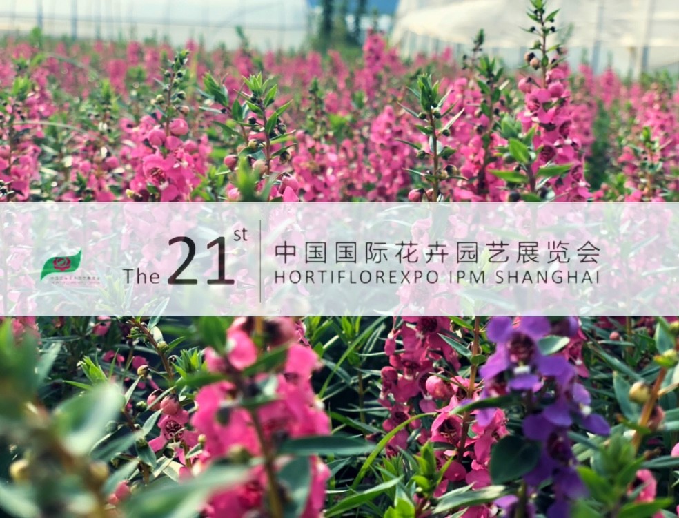 人生就是搏(ZLKS)集团唯一官方网站