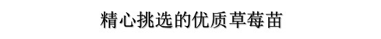 5d1c5dd649c46