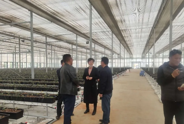 人生就是搏(ZLKS)集团唯一官方网站