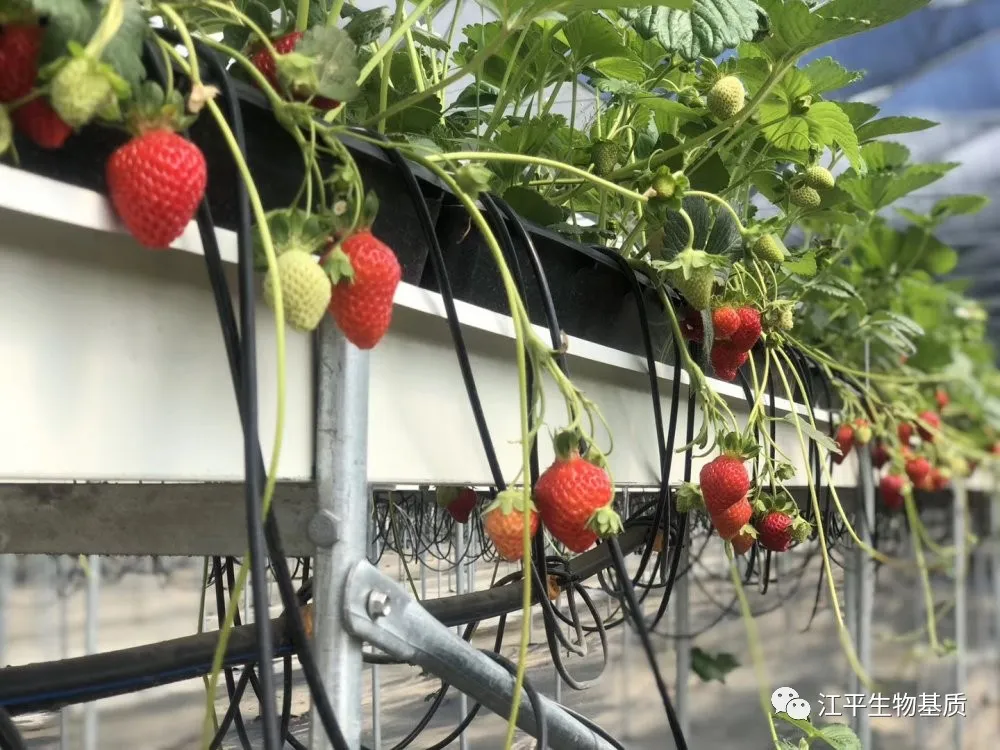 人生就是搏(ZLKS)集团唯一官方网站