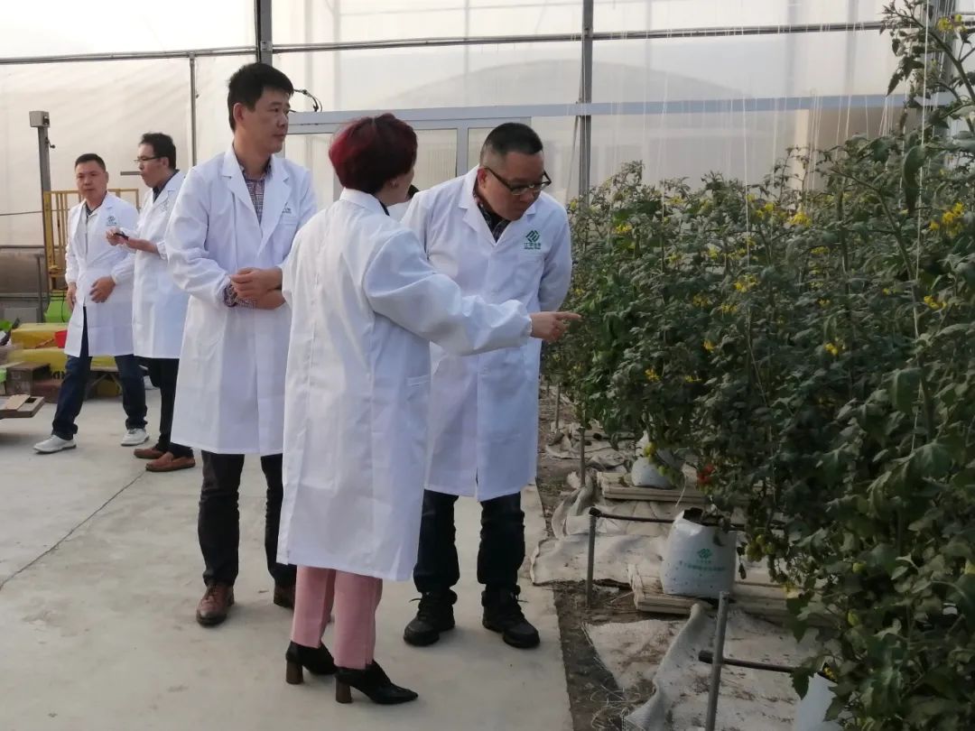 人生就是搏(ZLKS)集团唯一官方网站