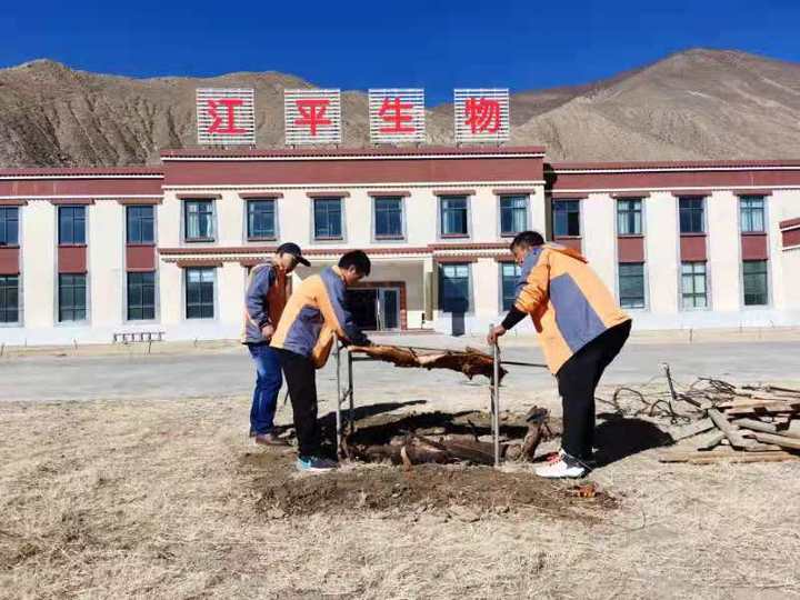 人生就是搏(ZLKS)集团唯一官方网站