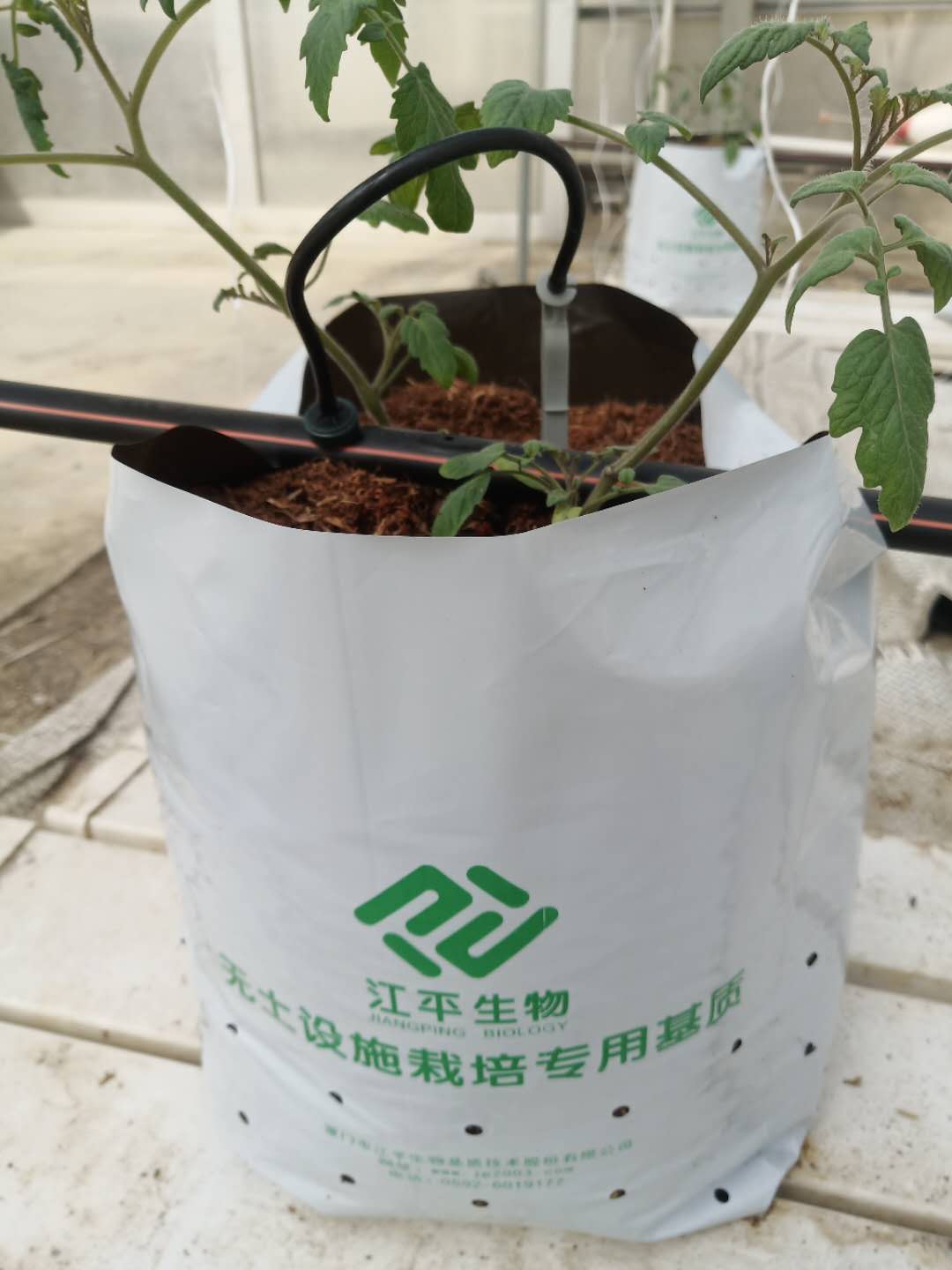 人生就是搏(ZLKS)集团唯一官方网站