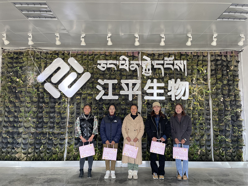 人生就是搏(ZLKS)集团唯一官方网站