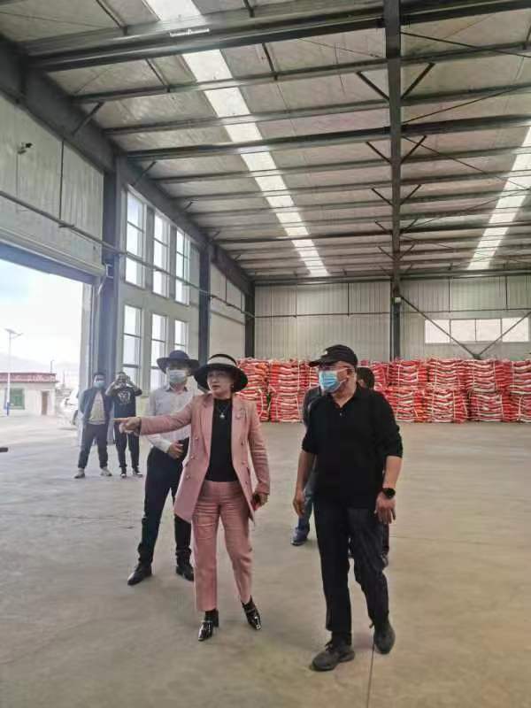 人生就是搏(ZLKS)集团唯一官方网站