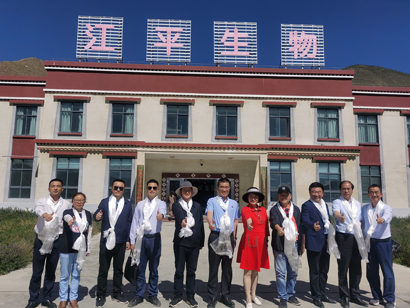 人生就是搏(ZLKS)集团唯一官方网站
