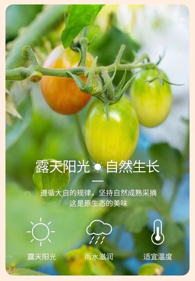 人生就是搏(ZLKS)集团唯一官方网站