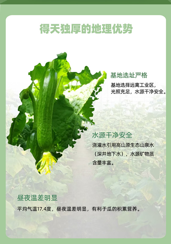 人生就是搏(ZLKS)集团唯一官方网站