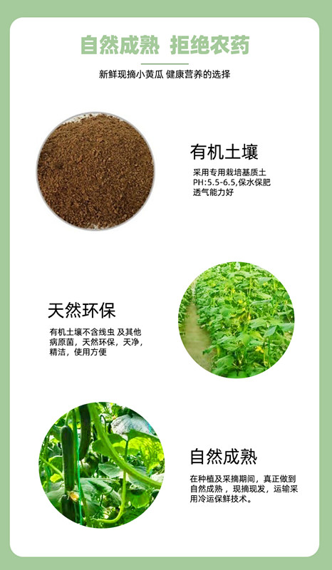 人生就是搏(ZLKS)集团唯一官方网站