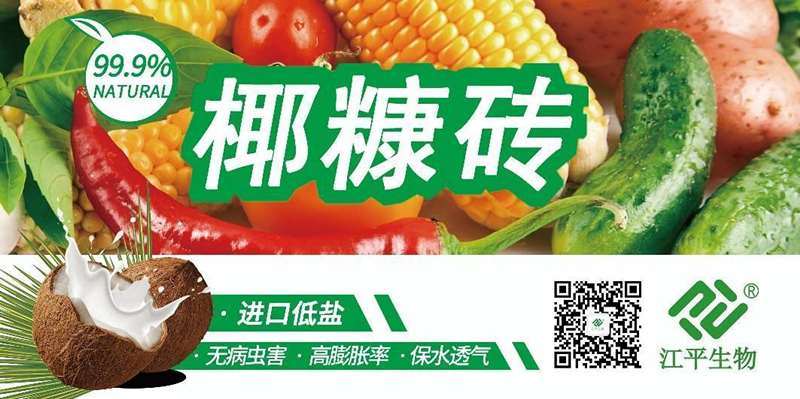 人生就是搏(ZLKS)集团唯一官方网站
