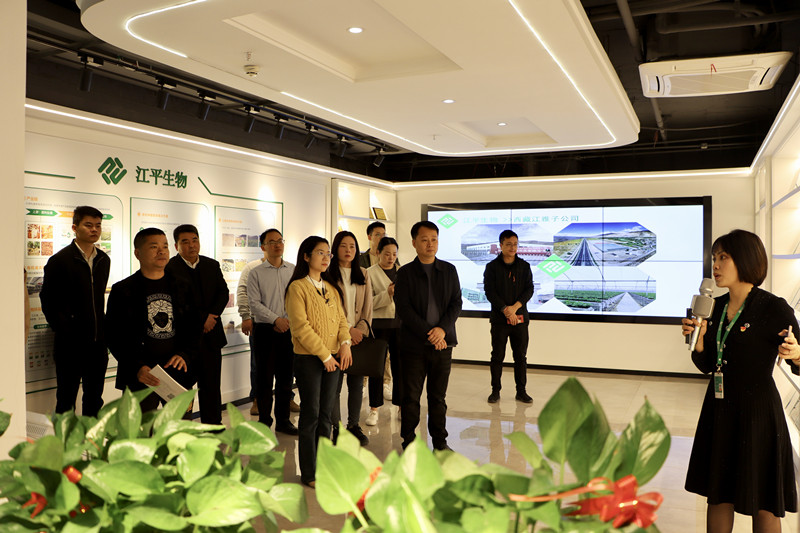 人生就是搏(ZLKS)集团唯一官方网站