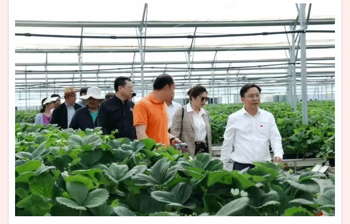 人生就是搏(ZLKS)集团唯一官方网站